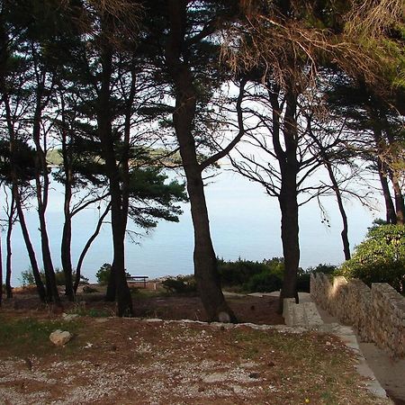 Apartments Matkov - Quite And Peaceful Location Jelsa  Εξωτερικό φωτογραφία